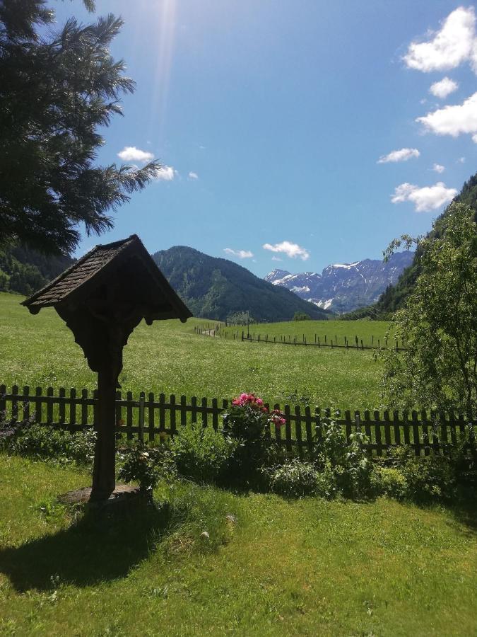 Schiederhof Villa Митерзил Екстериор снимка